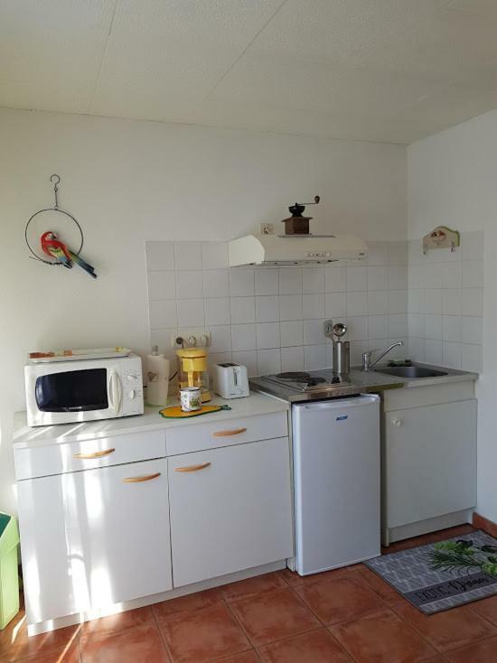 Studio Cote Sud Vert Sarlat-la-Caneda Luaran gambar
